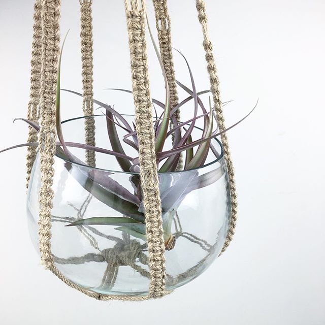 Macrame is back and it's better than ever! We love this simple planter with air plants nestled inside.