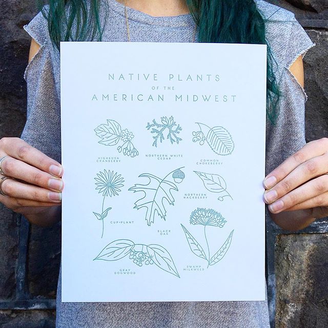 Midwest friends, We have your plant needs covered thanks to @taigapress ! (We have the Pacific Northwest & Southwest versions too!)