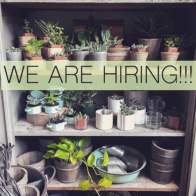 Porch Light is looking for a friendly, organized person with retail experience to join our team.  If you're interested please email your resume and a note introducing yourself to info@porchlightshop.com.  For more details visit us on Facebook @porchlightpdx