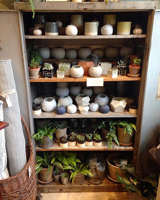New ceramic pieces filling up the plant locker!