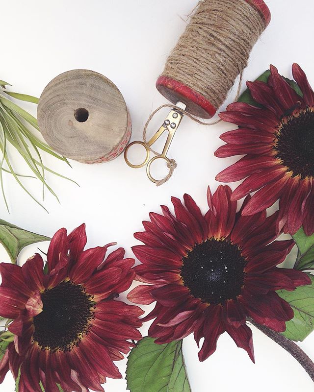 These gorgeous sunflowers are giving us all the Fall color feels!