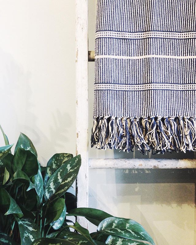 New dreamy throw blankets in the shop, pictured here with our favorite shop plant, Stan.