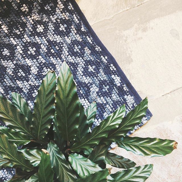 Need a new rug?  We've got you (and your floor) covered!