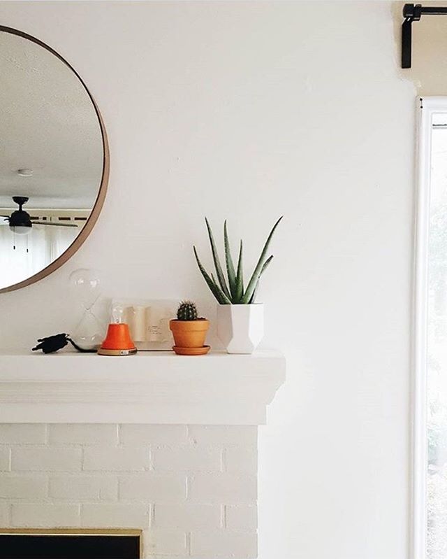 Aloe there! Every mantel vignette needs a great plant- or two! We've got a fresh batch of plants at the shop for you today. Stop by and pick out a few to liven up your space!⠀
⠀
: @oinkoinkfatty