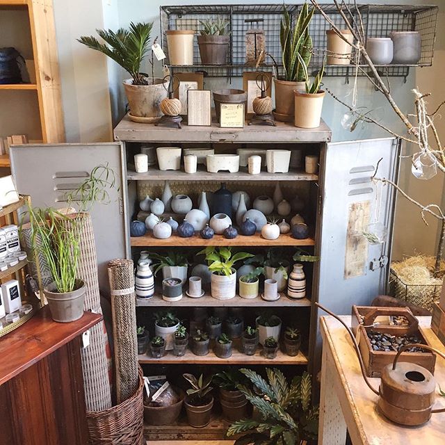 Half the fun of getting a new plant is finding the perfect home for it!  You'll find lots of our favorite ceramic planters, dishes and vases for plants of all shapes and sizes in our plant locker.