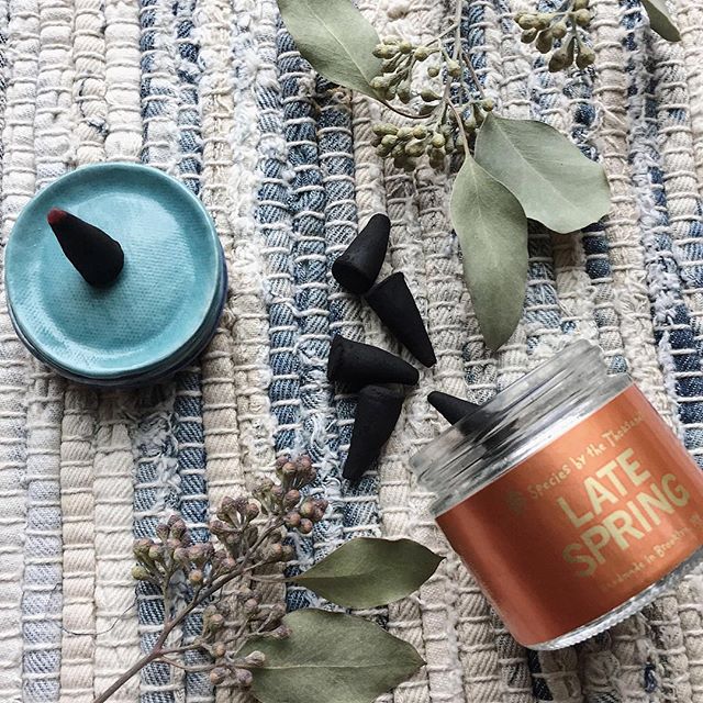 It's finally starting to warm up, Portland! Bring that familiar Spring scent indoors with these amazing incense cones by @speciesbythethousands. We have 4 styles to choose from, today and everyday.