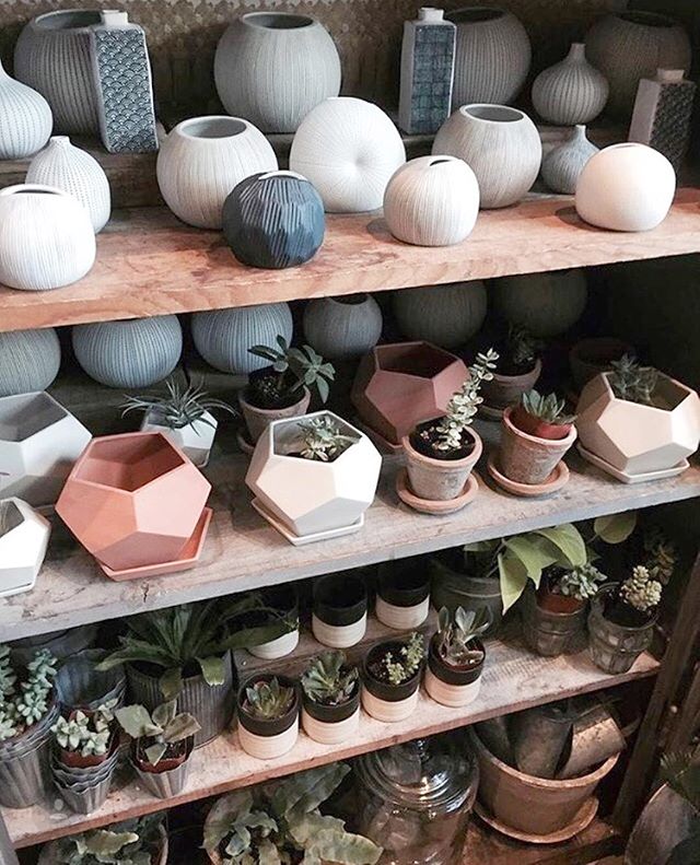 Potted and planted.  We've got shelves full of fresh plants and planters ready for you this weekend! Drop in and say hello!⠀
⠀
: @thegirlandthekat