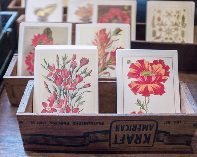Send a sweet postcard posy to your favorite flower lover.
