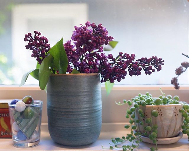Sweet greens, pops of color & lots of sunshine! What's on your windowsill?