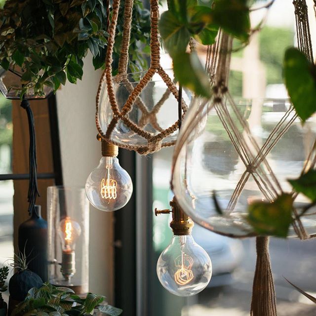 Edison bulbs: the original bright idea! Hang them from a cord or use them in a collection of small lamps- either way, they're sure to make an impact on your space!