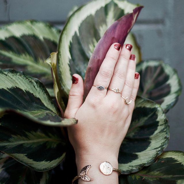Nothing makes us more excited than beautiful jewelry and our plant babies. Both make great gifts for a friend or for yourself. ⠀
.⠀
.⠀
.⠀
.⠀
.⠀
.⠀