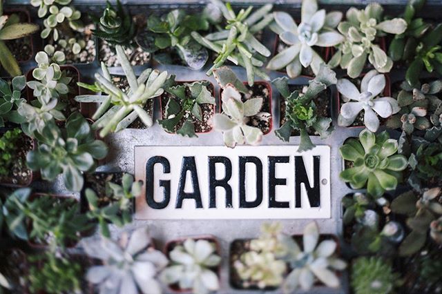 We love our wild little garden space here at the shop! .
.
.
.