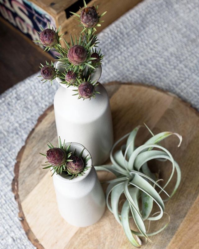 We've got lots of sweet vases and planters for your garden bounty.