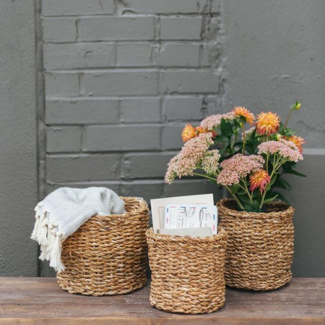 We've got loads of new baskets and planters for all your plant friends... and really anything else you need a basket for.