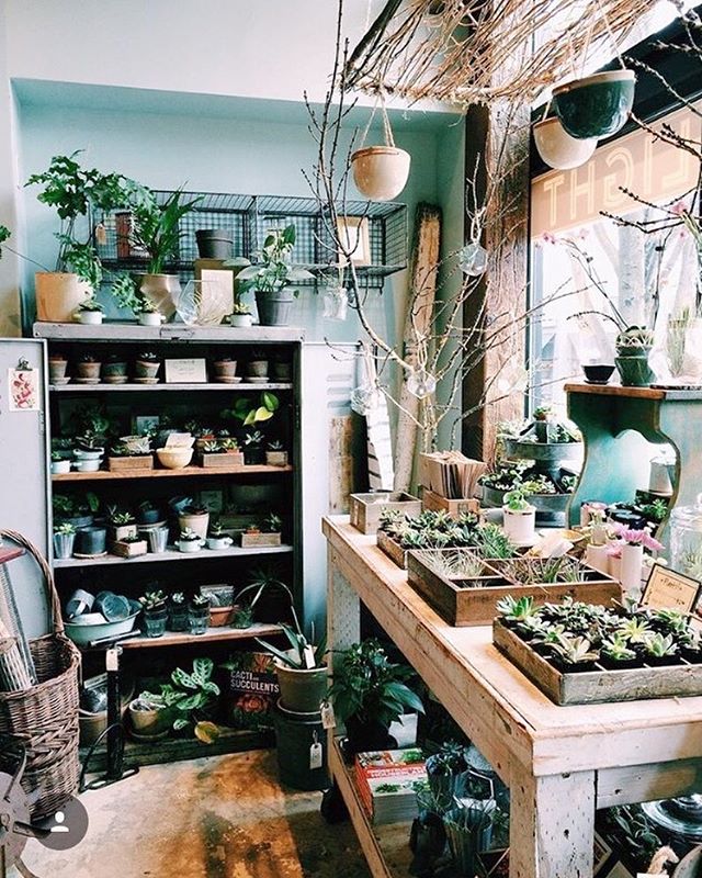 Everyone's favorite sunny corner is all stocked up with new plants and planters and we're here til 5 on this lovey autumn day. ⠀
photo by @lila.avatara