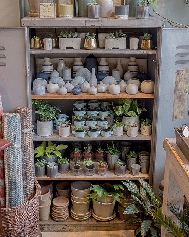 Everyone's favorite plant corner all stocked up and ready for the weekend!