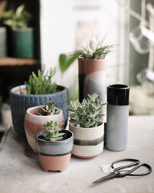 Just a few of our favorite planters & vases new to the shop this week.