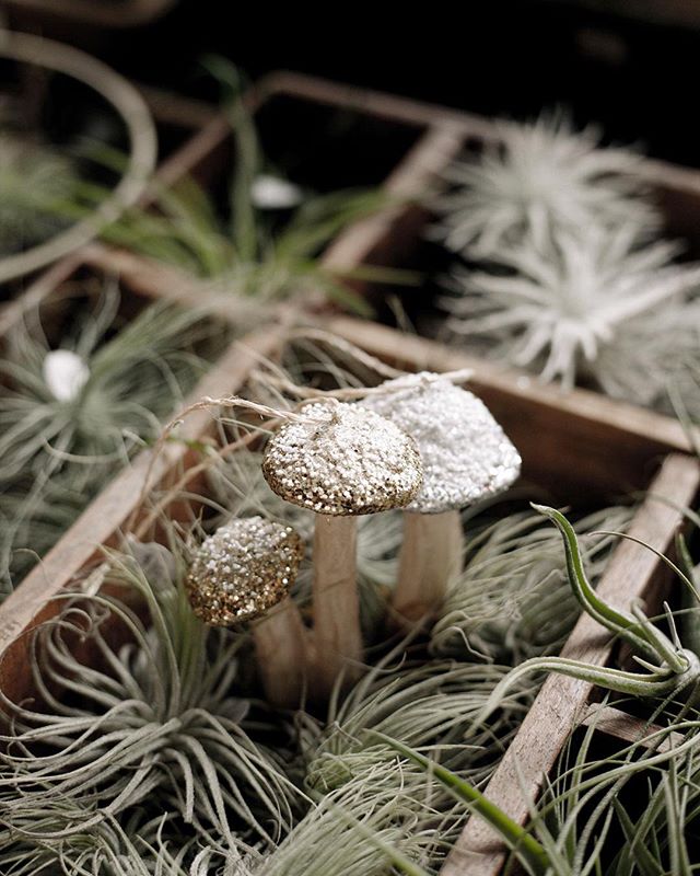 These sweet, sparkly mushroom ornaments would be perfect on your woodland themed tree this year.
