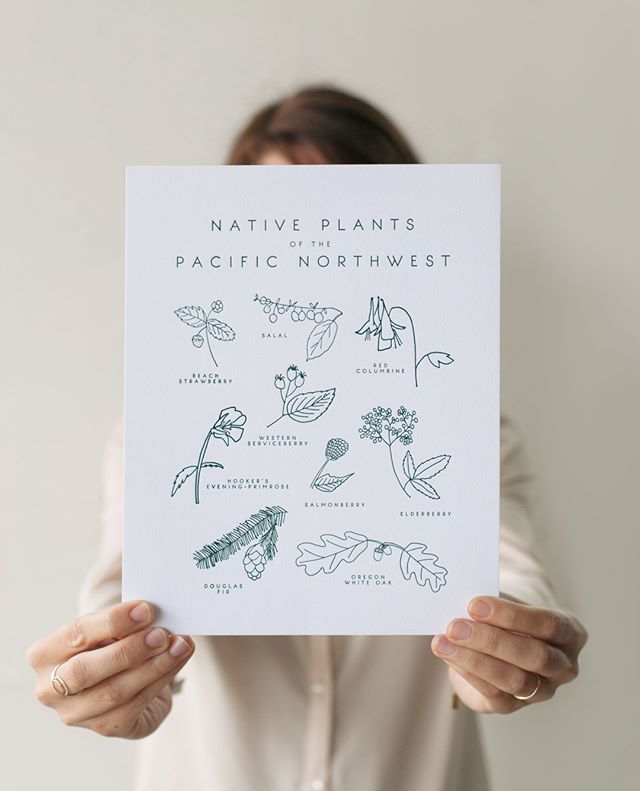 We're all stocked up on our favorite native plant prints from @taigapress !!