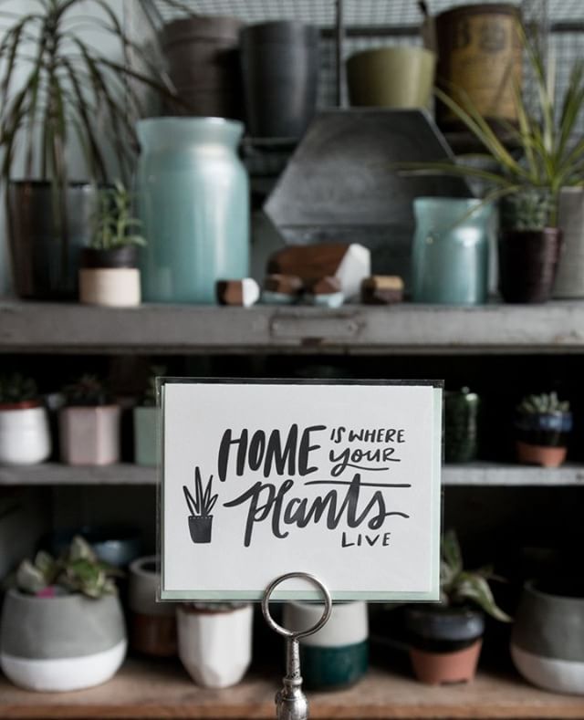 A fresh batch of plants & planters is waiting for you at the shop! Stop by this weekend and find some new things to make your place truly a "home".