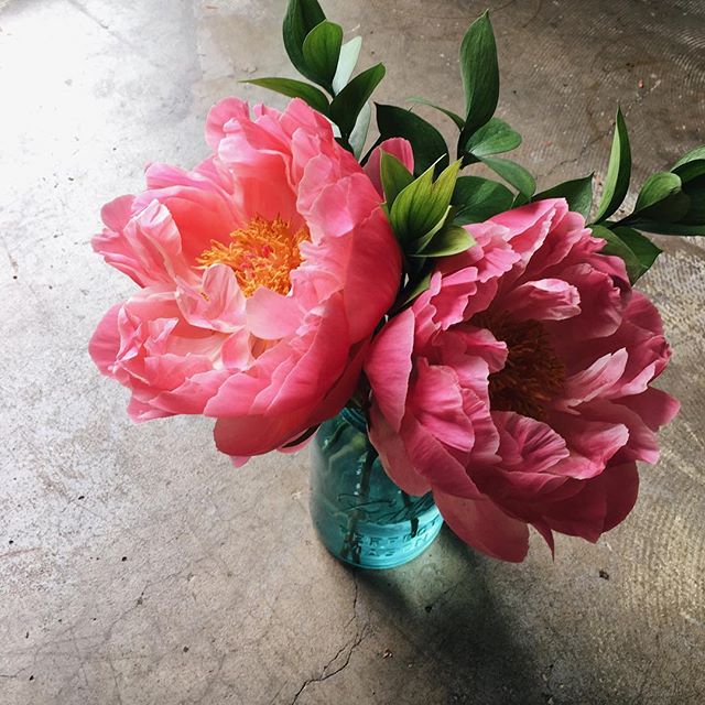 A little pop of color on this gloomy day  These peonies look beautiful in a vintage ball jar! What are your favorite garden flowers?