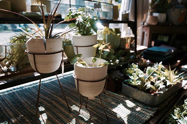 A pot or a plant stand? Why don't just get both! These cuties come as a set  ⠀
⠀
.⠀
.⠀
.⠀
.⠀
.⠀
.⠀