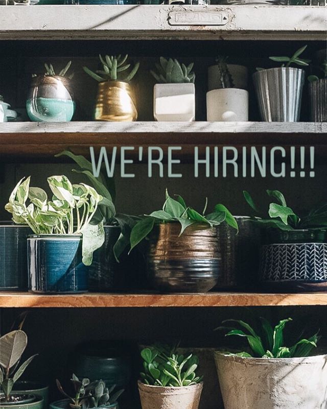 Porch Light Portland is seeking a new part-time employee to join our team. The ideal candidate for this position is confident, friendly and outgoing, connects with our aesthetic and represents our style to our customers, has excellent customer service skills, strong retail experience and a creative mind. Some knowledge of plant care is a plus. The position is for 2 to 3 days per week from 10:45am to 6:15pm INCLUDING WEEKENDS. If you want more info or are interested in applying please email your questions or a cover letter and resume to info@porchlightshop.com Better yet, drop one by the shop and say hello. We look forward to hearing from you (or your friends, so please pass it along!).